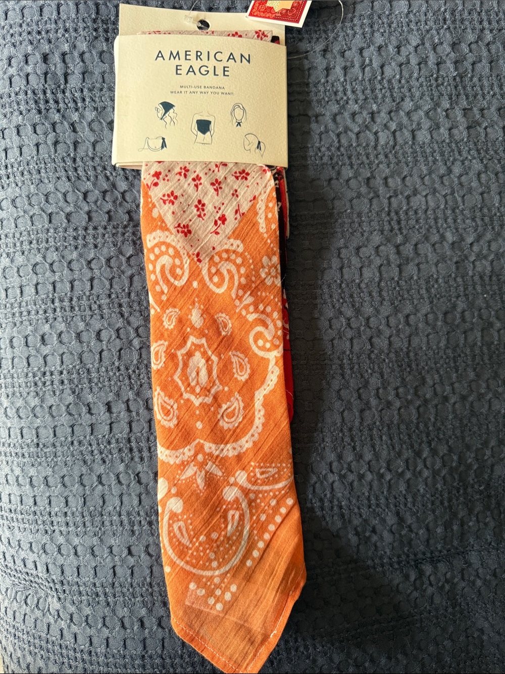 American Eagle Outfitters Multi Use Bandana